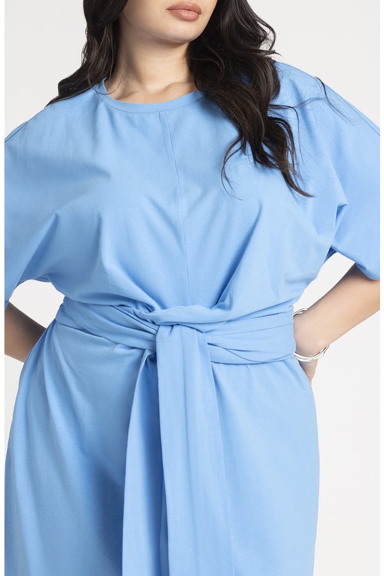 Tie front Flutter Sleeve Midi Sheath Dress
