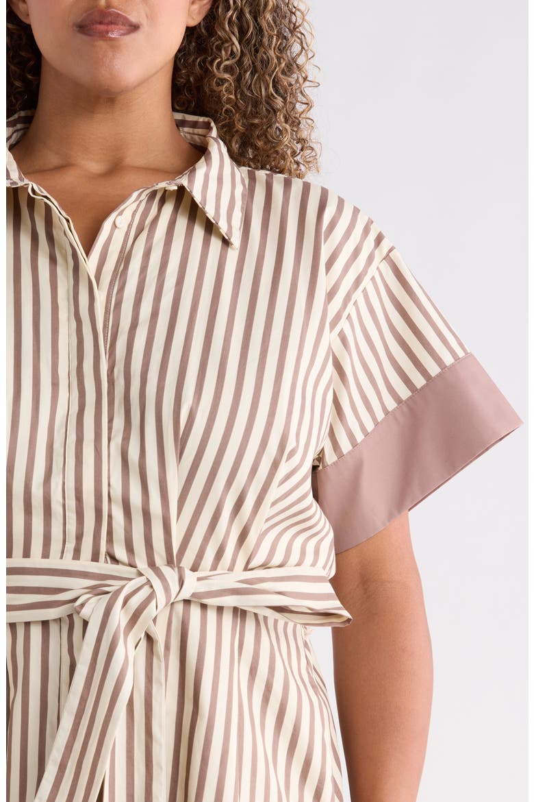 Stripe Midi Shirtdress