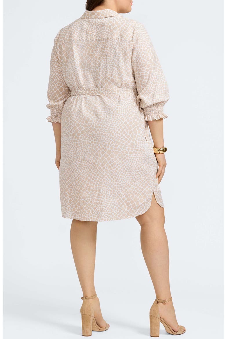 Abby Belted Linen Blend Shirtdress