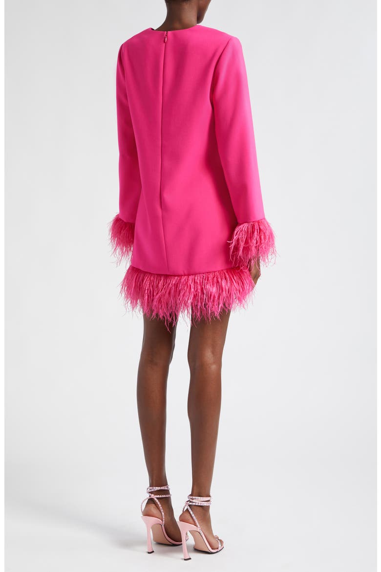 Marullo Feather Trim Long Sleeve Dress
