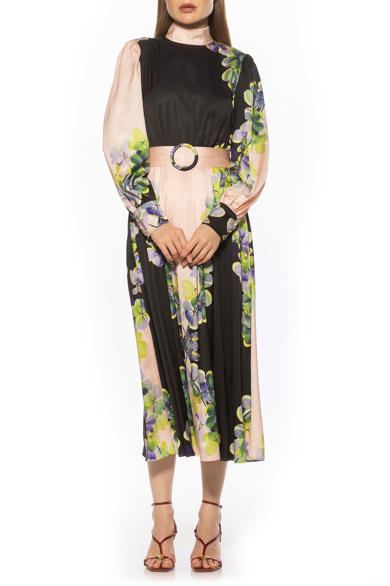Safiya Long Sleeve Belted Fit & Flare Dress