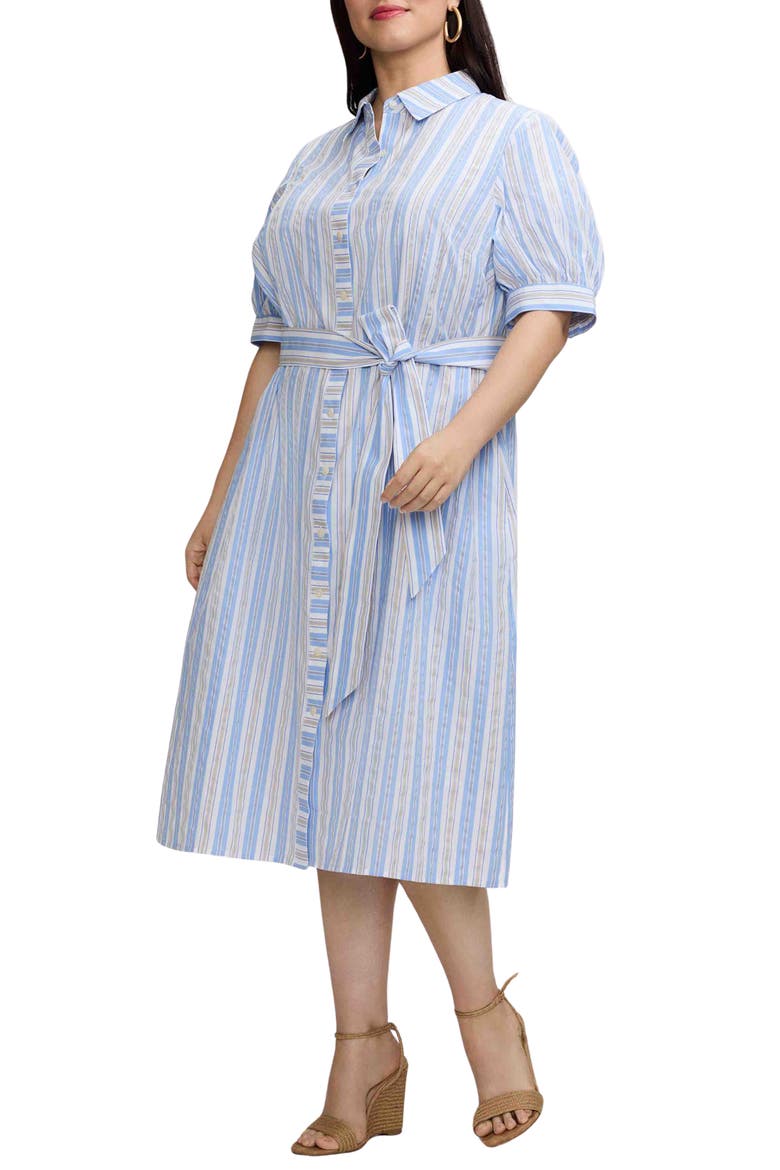 Esther Belted Stripe Cotton Shirtdress