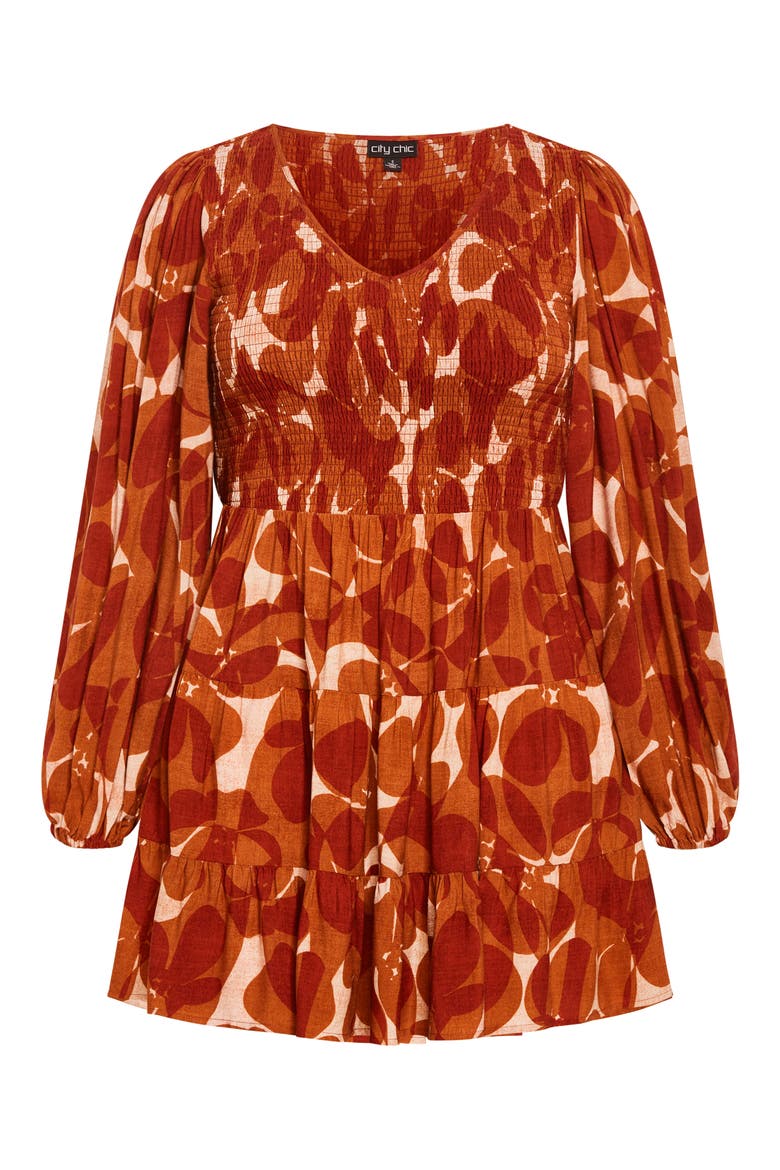 Celine Luna Print Long Sleeve Minidress