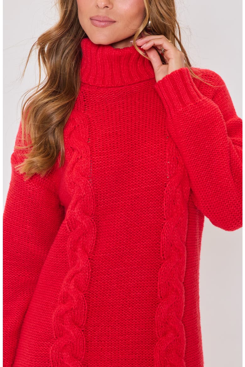 Olivia Turtleneck Long Sleeve Mini Sweater Dress