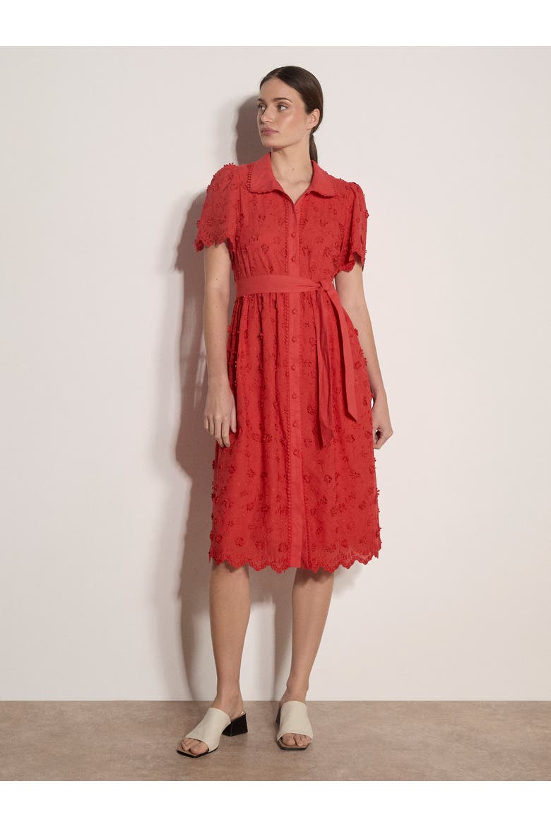 3d Embroidered Cotton Midi Dress