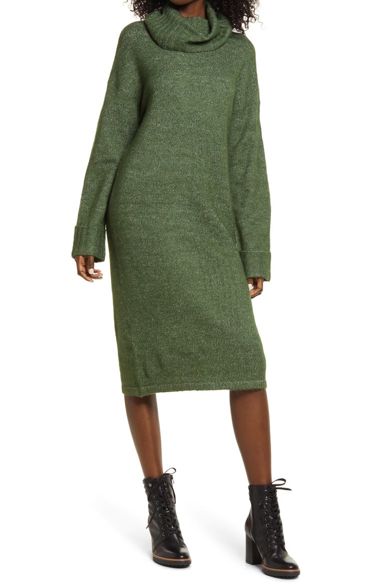Gaiva Turtleneck Long Sleeve Sweater Dress