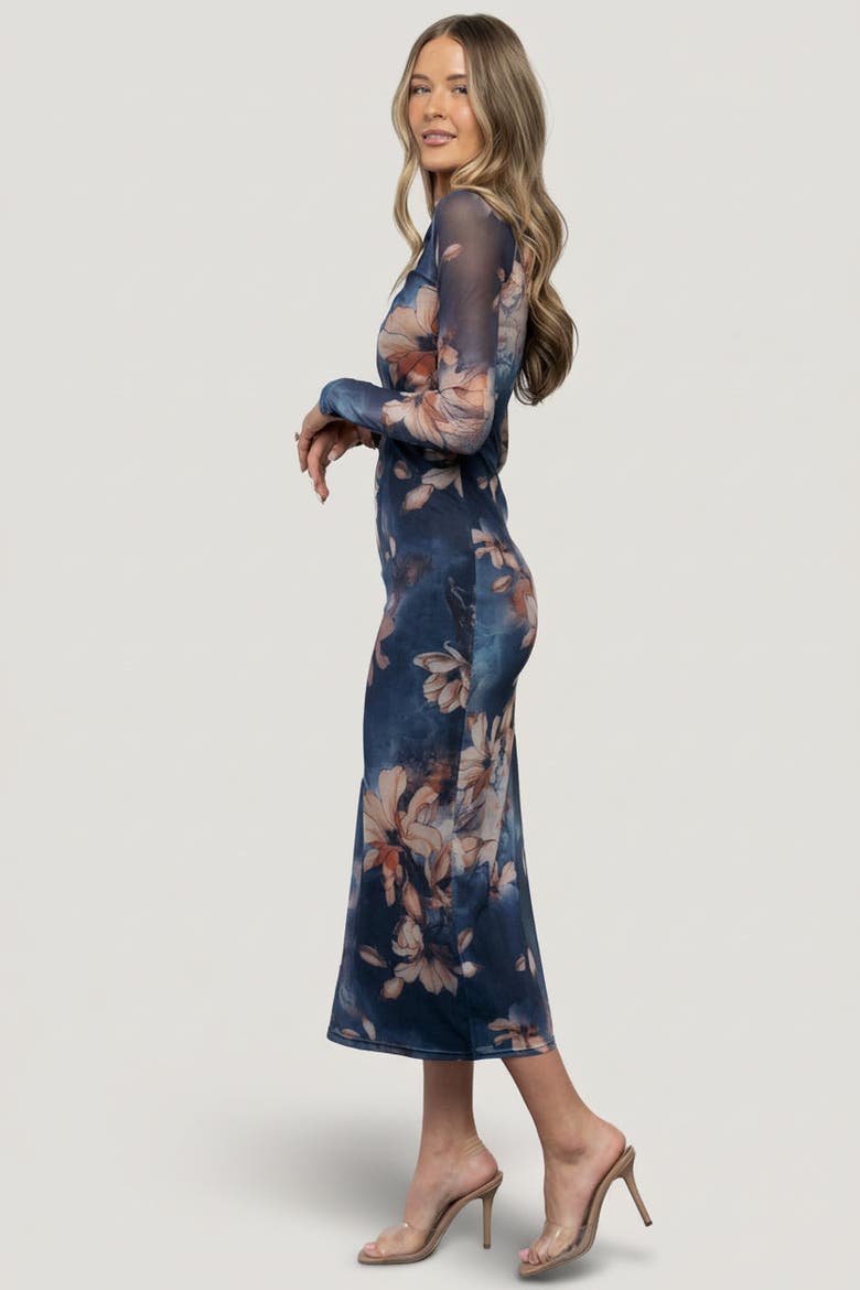 Darya Mesh Midi Dress