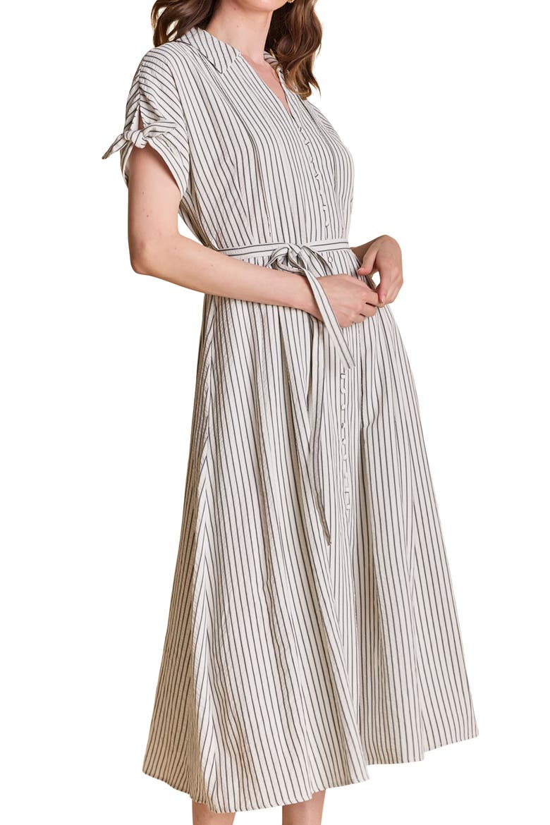 Stripe Midi Shirtdress