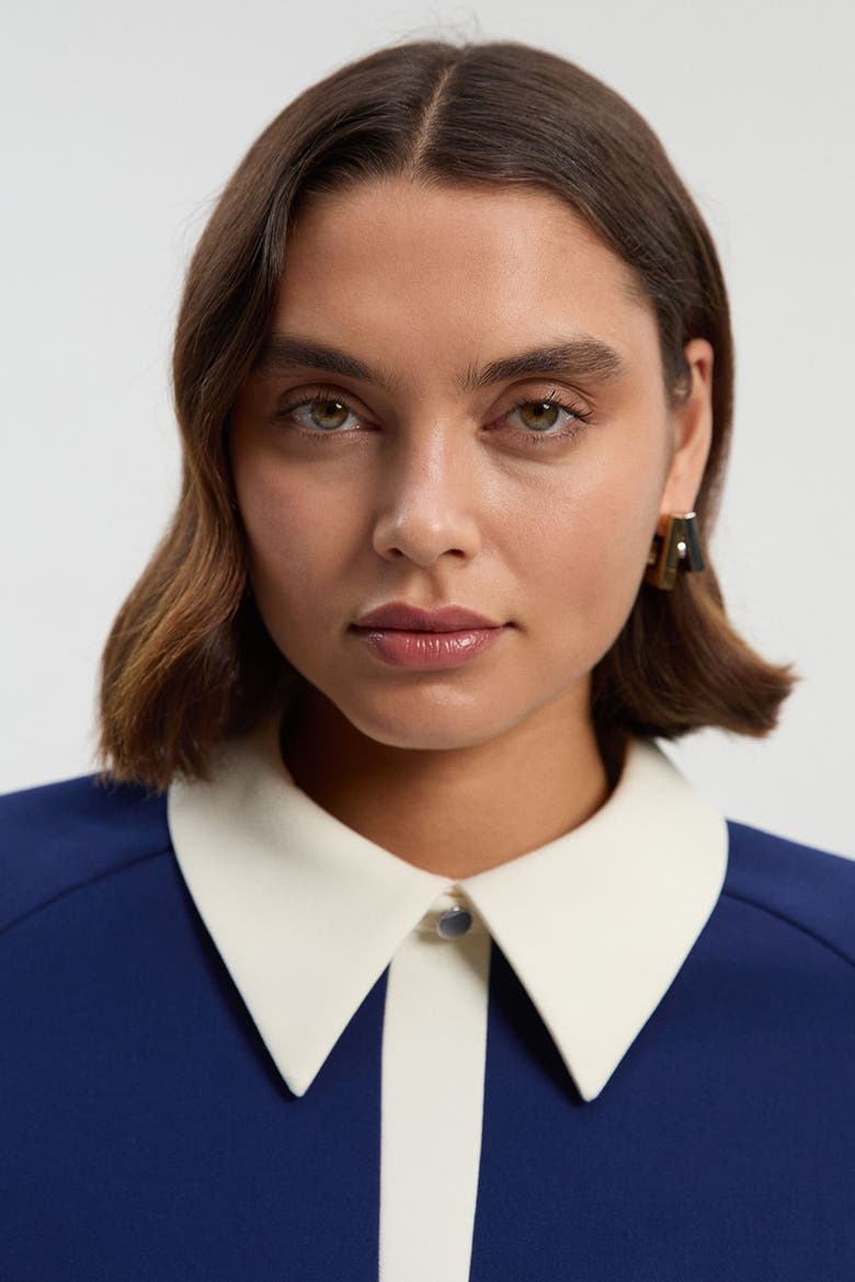 Contrast Collar Tailored Midi Dress