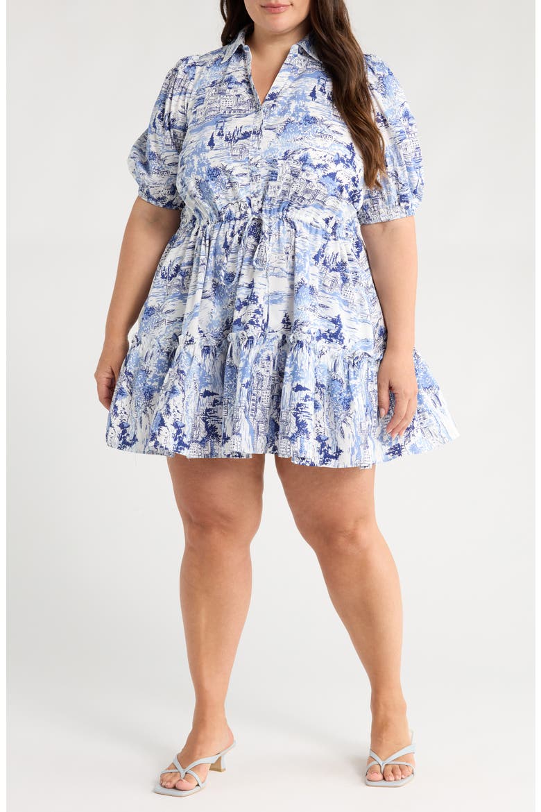 Francine Cotton Toile Minidress