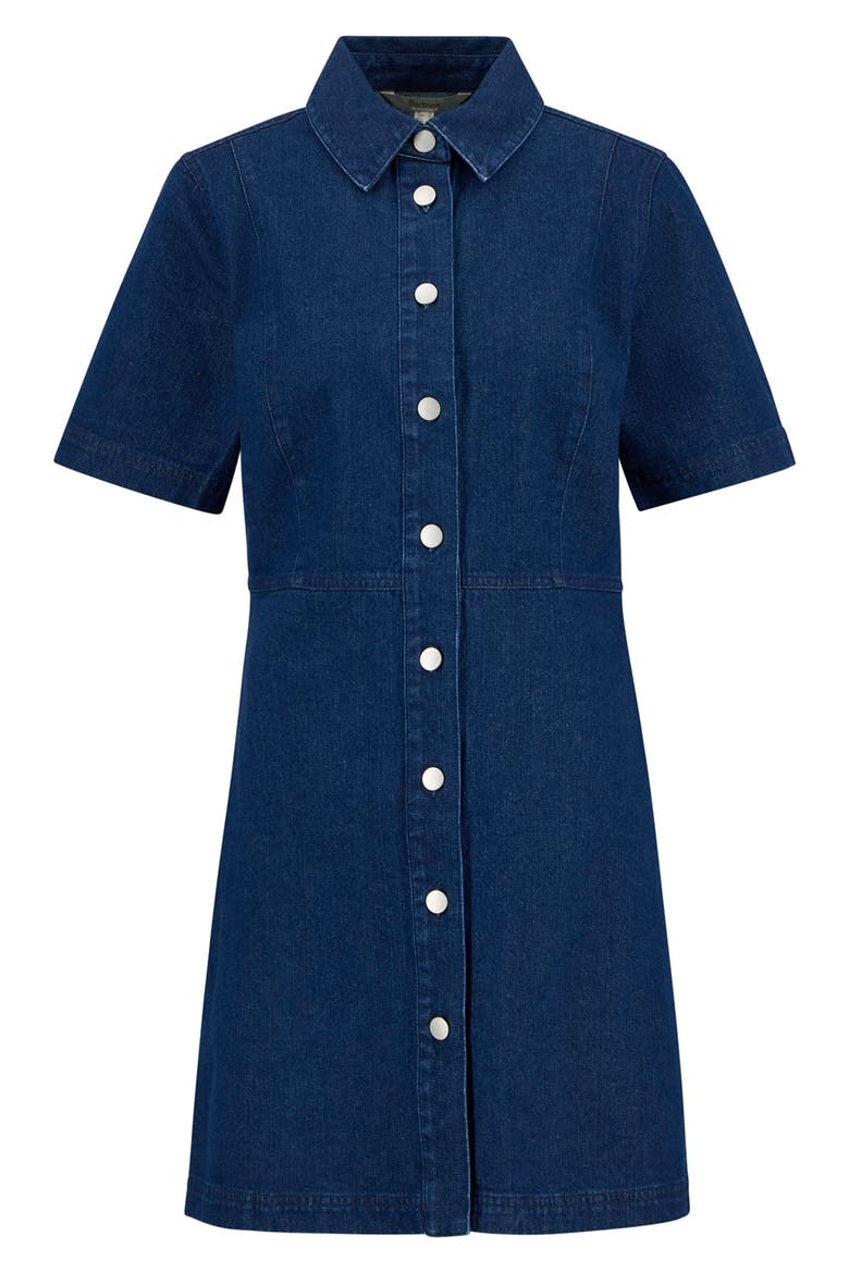 Maia Button-Up Denim Mini Shirtdress
