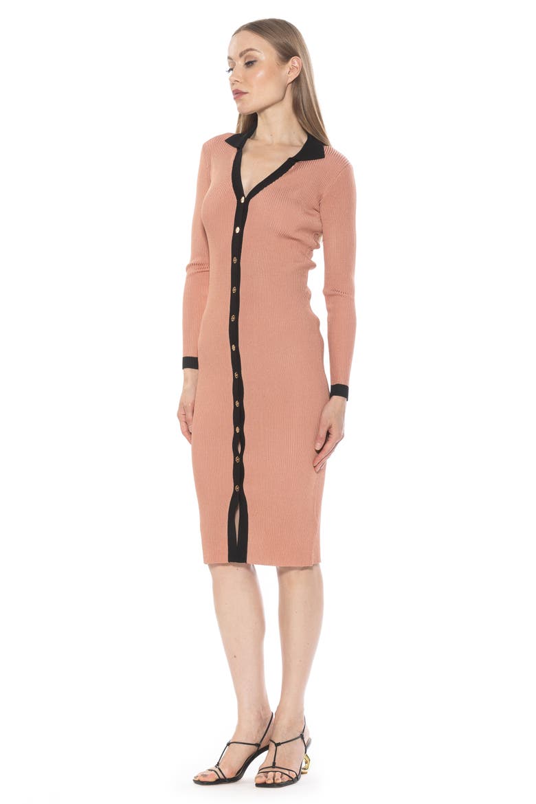 Cordelia Knit Long Sleeve Shirtdress