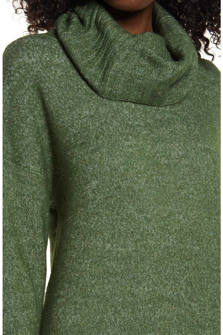 Gaiva Turtleneck Long Sleeve Sweater Dress