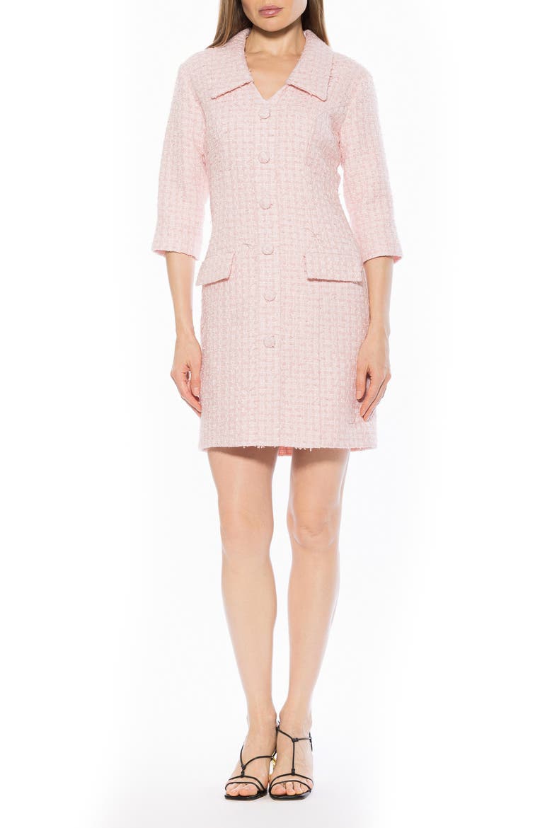 Isolde Collared Tweed Dress