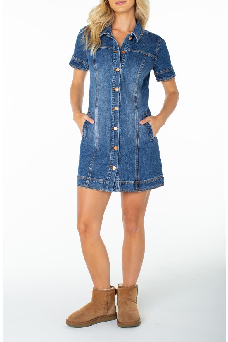 Dusk After Dark Button-Up Minidress