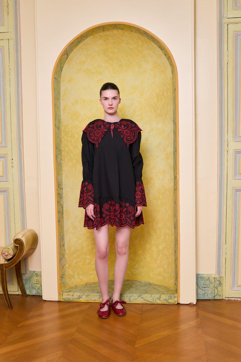 The Broderie Anglaise Edit Embroidered Detail Mini Dress