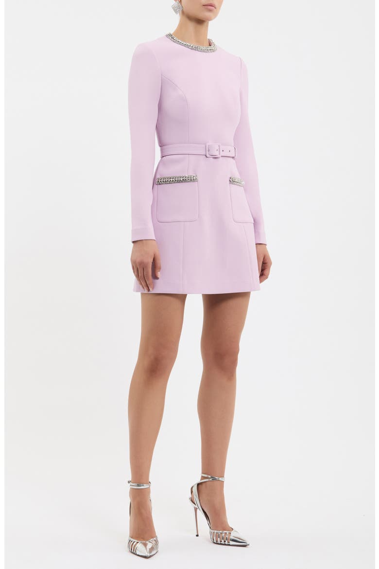 Yolanda Long Sleeve Minidress