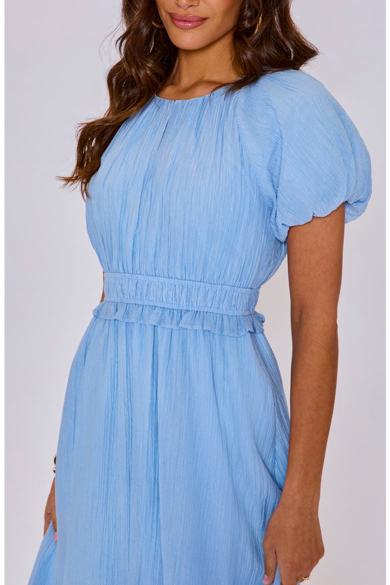 Briar Puff Sleeve Dress