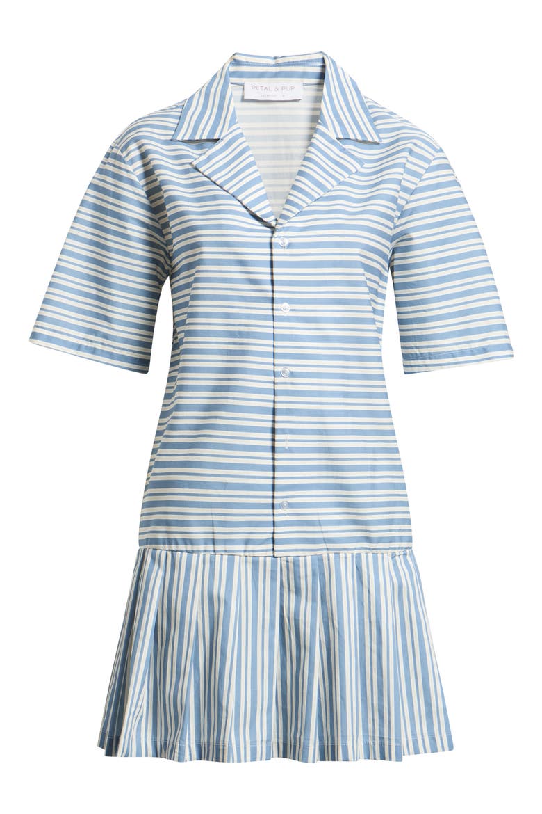 Fraser Stripe Drop Waist Minidress