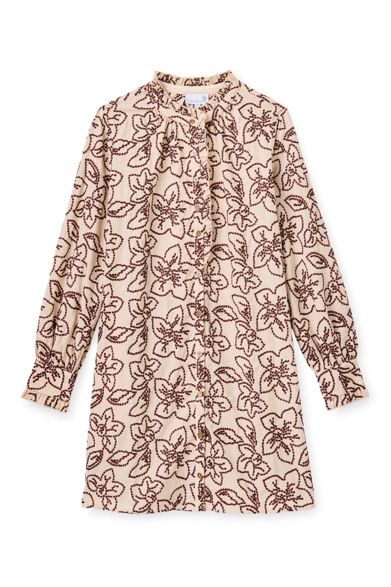Ramona Embroidered Mini Dress