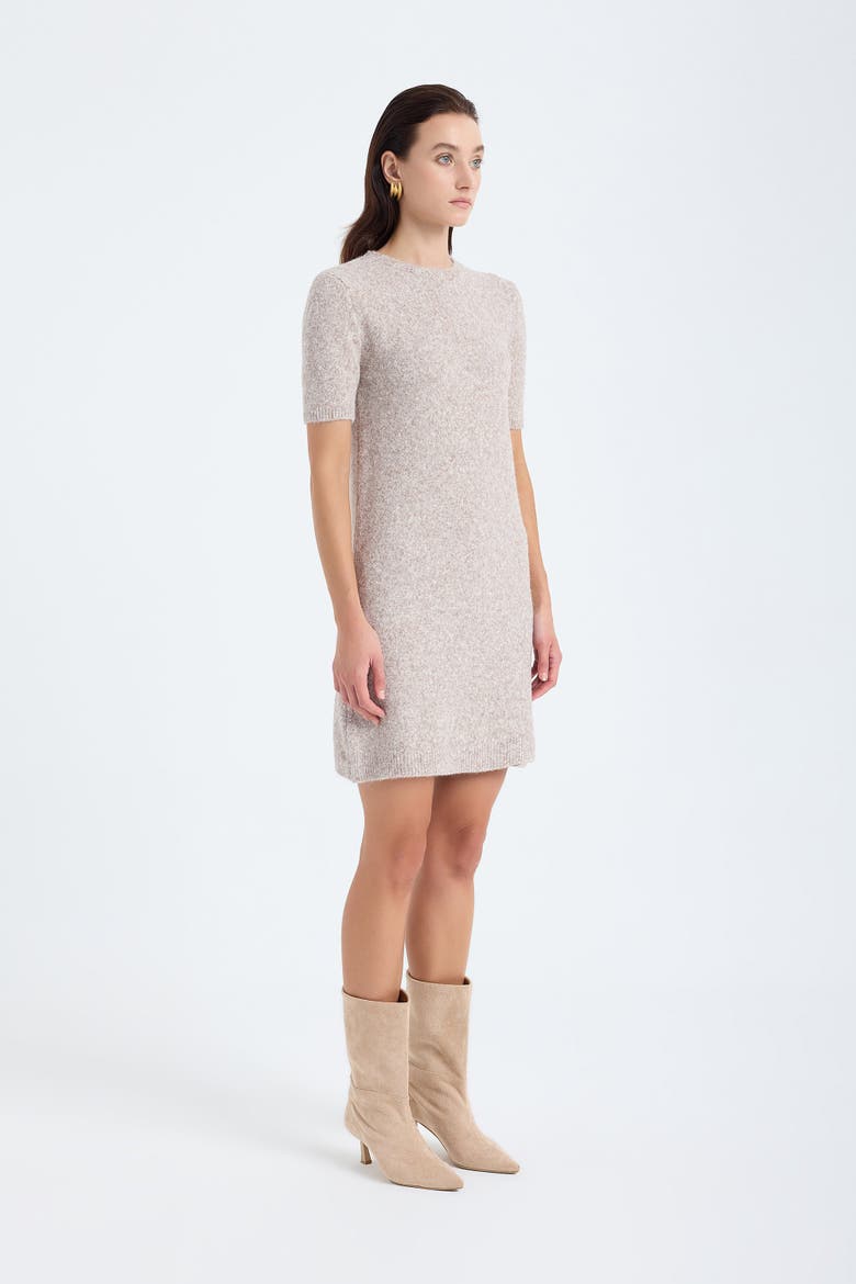Rune Short Sleeve Crewneck Knit Sweater Dress