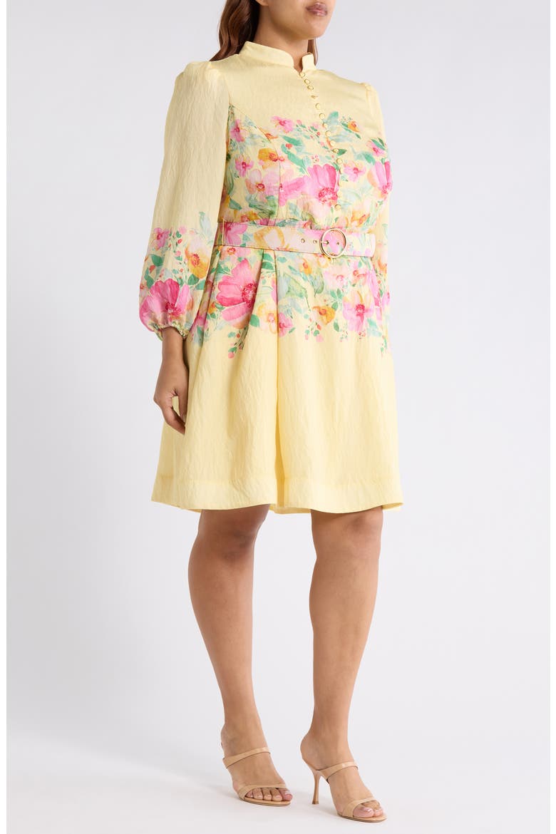 Placed Floral Long Sleeve Dress