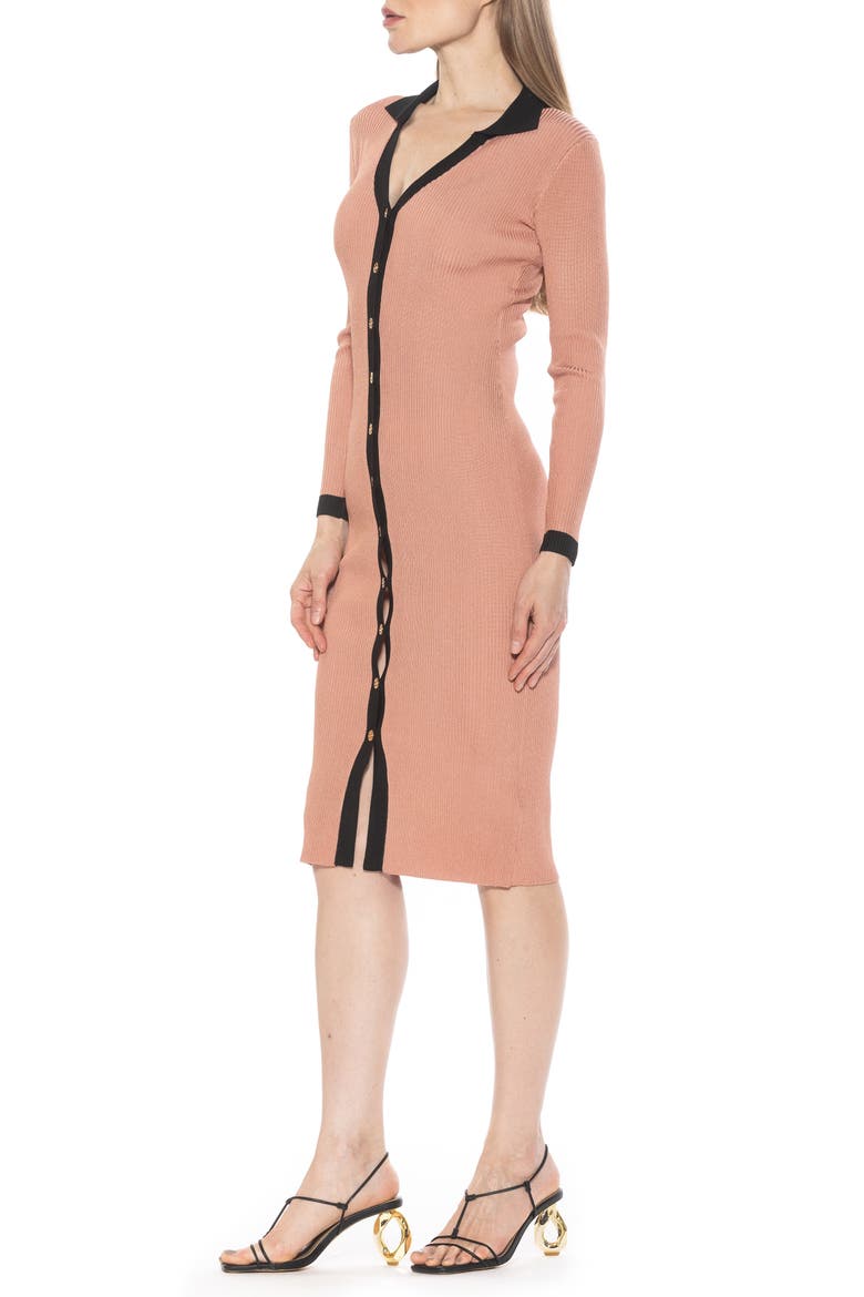 Cordelia Knit Long Sleeve Shirtdress