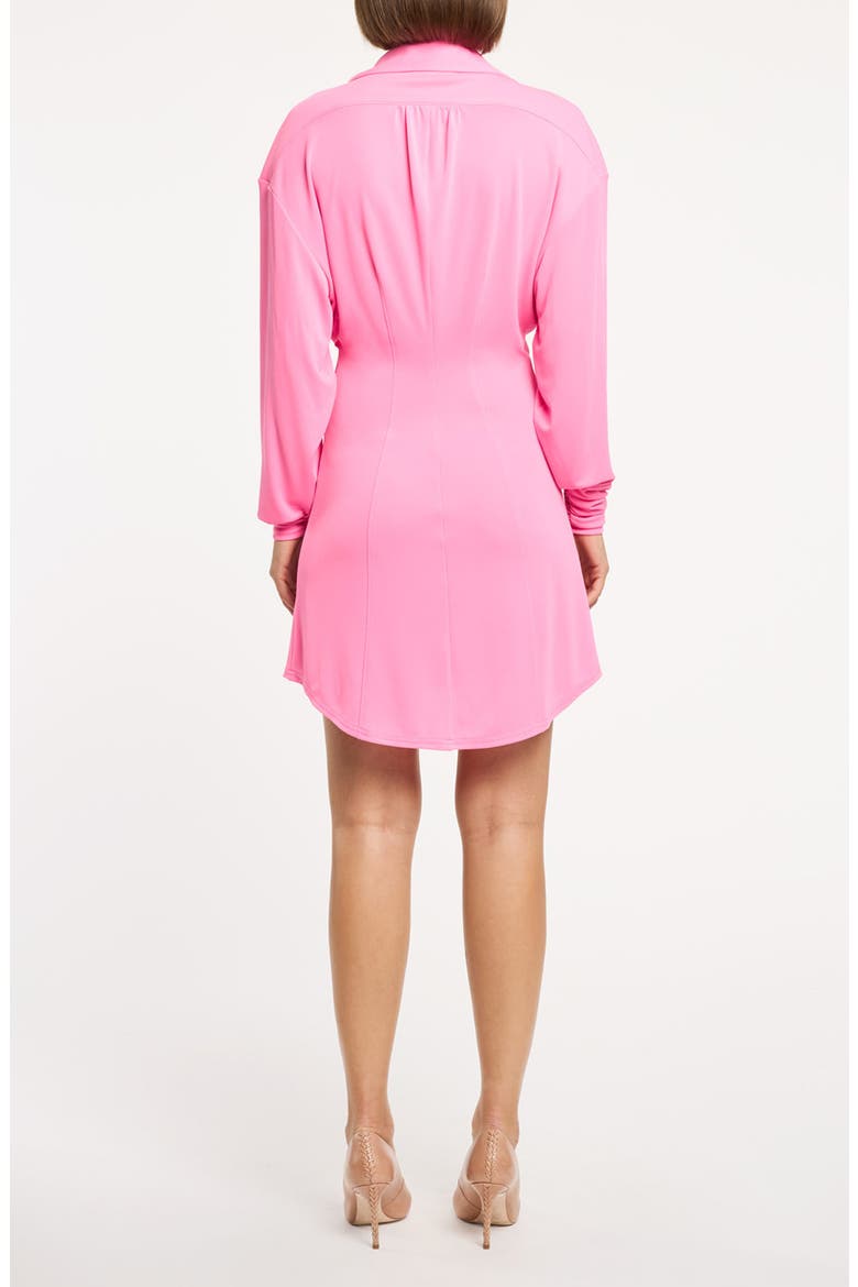 Arden Ruched Long Sleeve Shirtdress