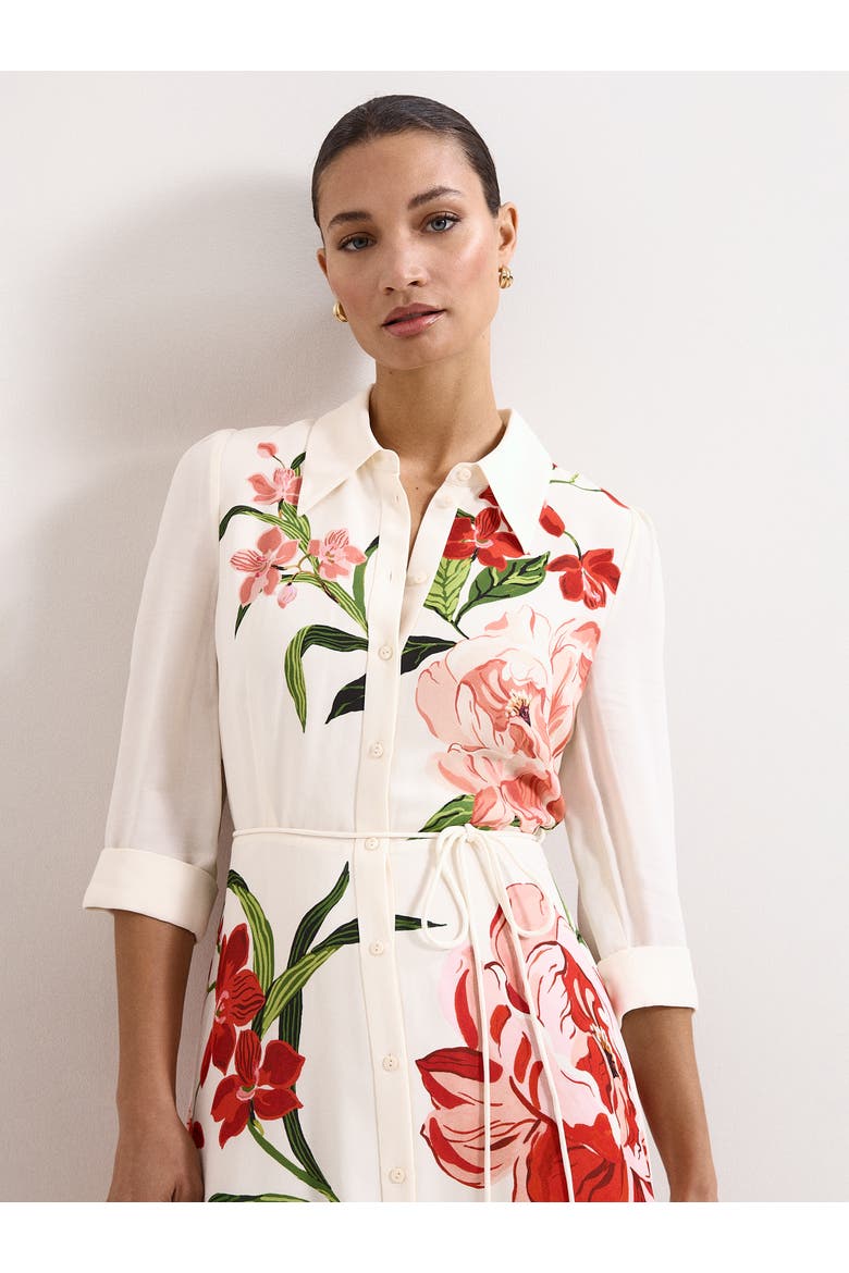Anabella Shirt Dress