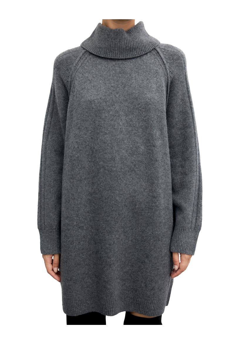 Cris Roll Neck Sweater Dress