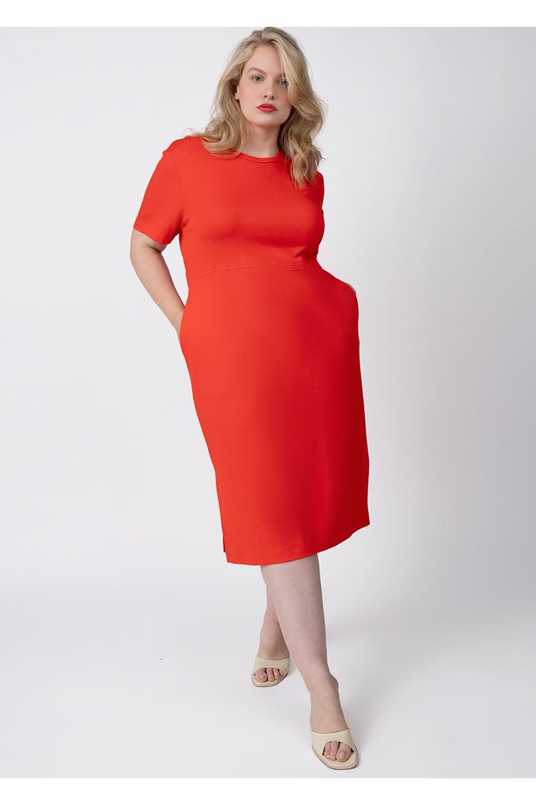 CoolROSE Luxe Midi Plus Size Dress with Velvet Tie