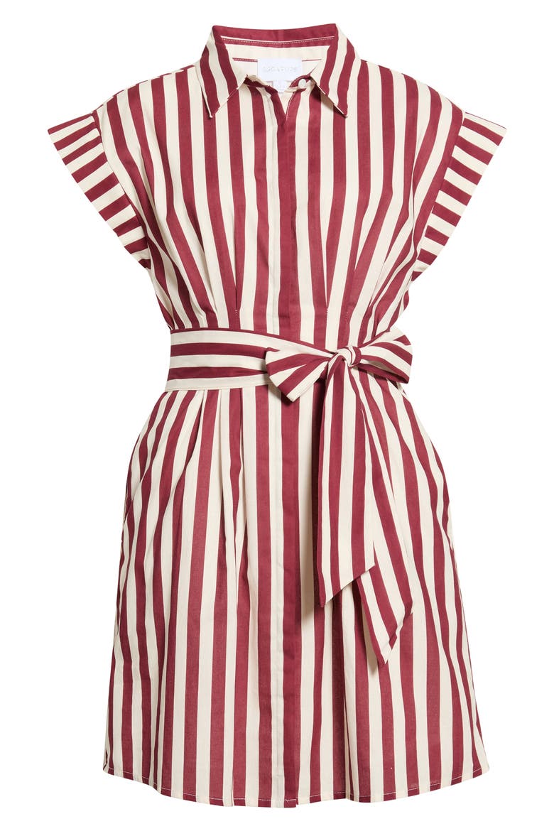 Samera Stripe Cotton Minidress