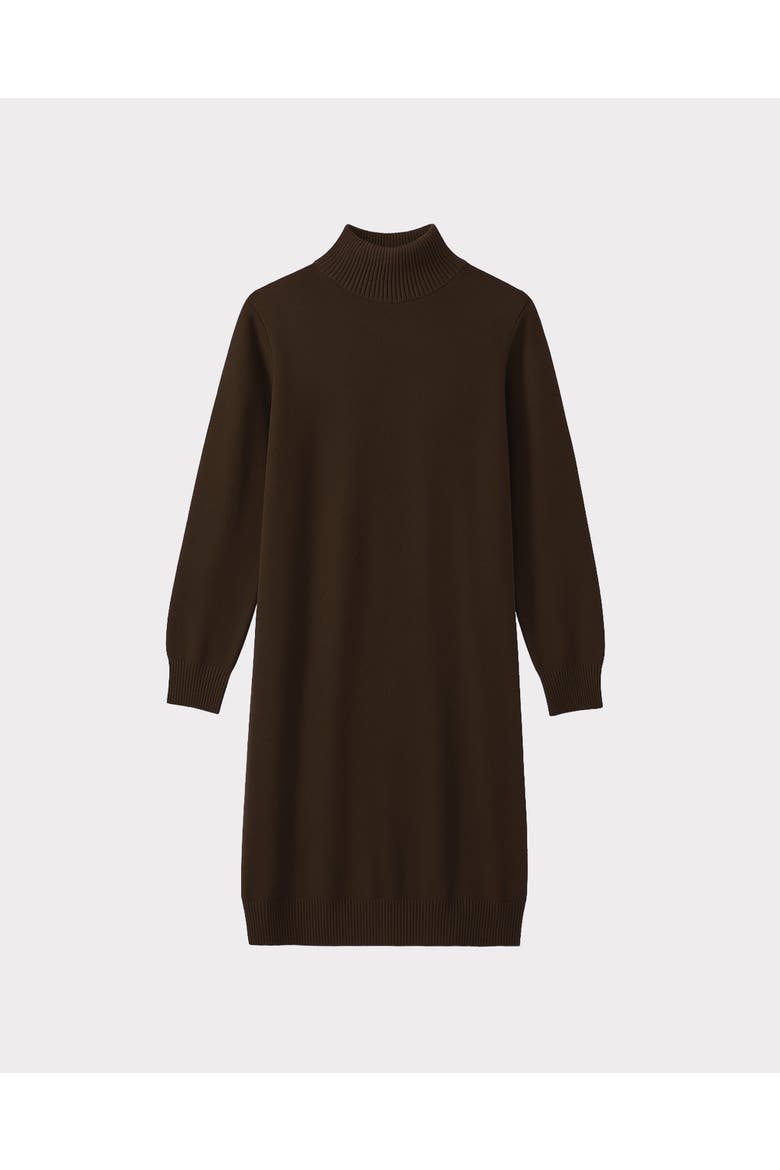 Turtle Neck Knitted Dress