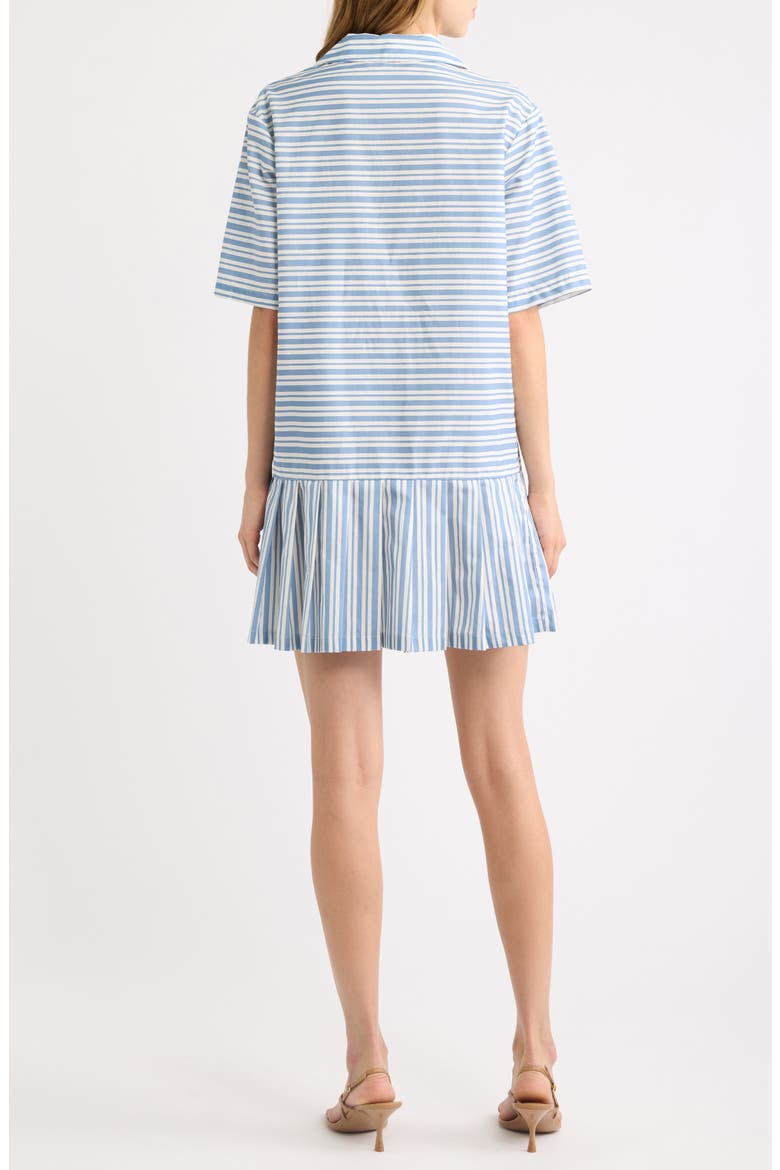 Fraser Stripe Drop Waist Minidress