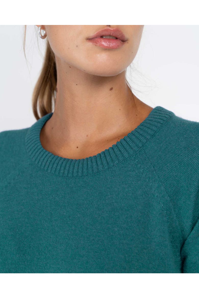 Crew Neck Knitted Dress