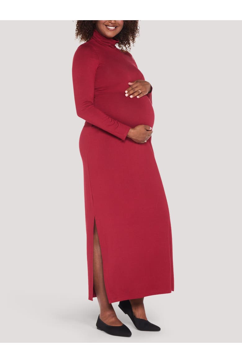Turtleneck Long Sleeve Knit Maxi Dress