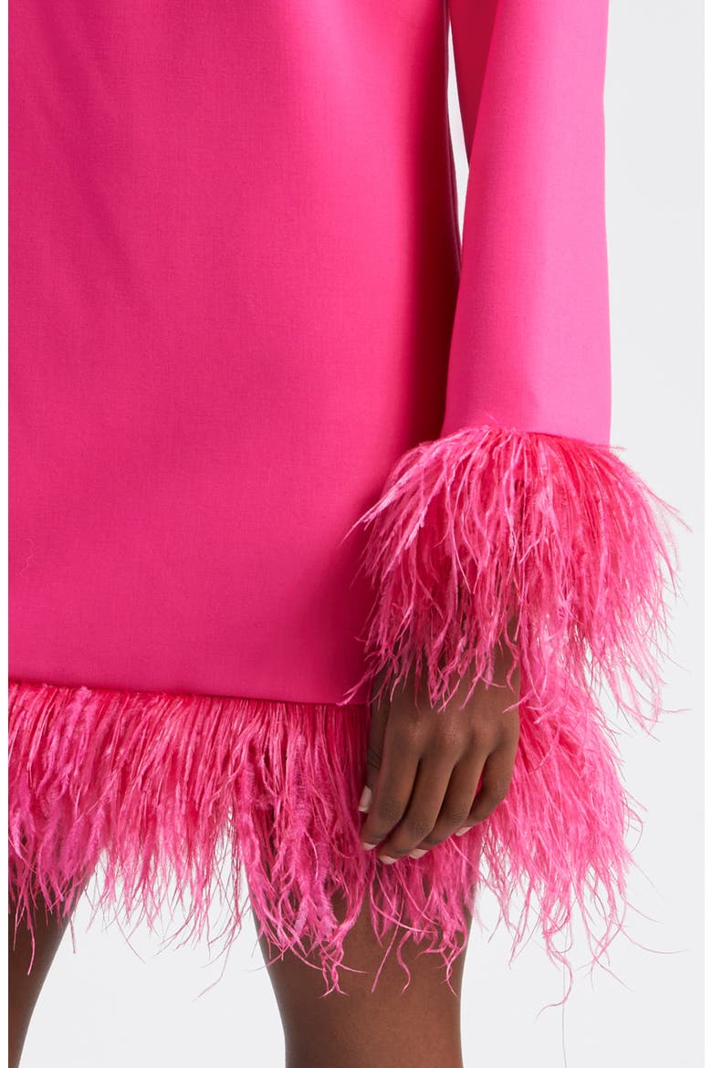 Marullo Feather Trim Long Sleeve Dress