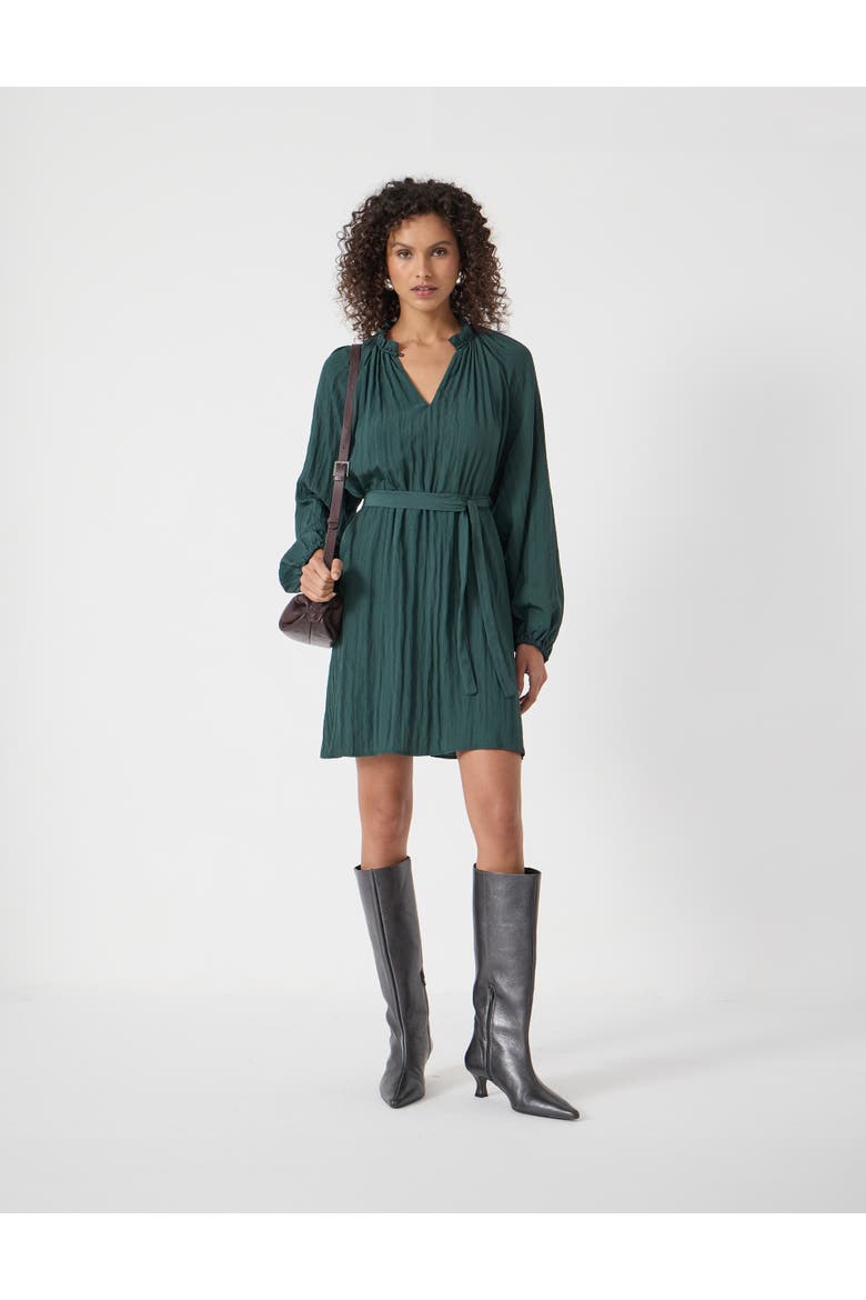 Ruffled Long Sleeve Mini Dress