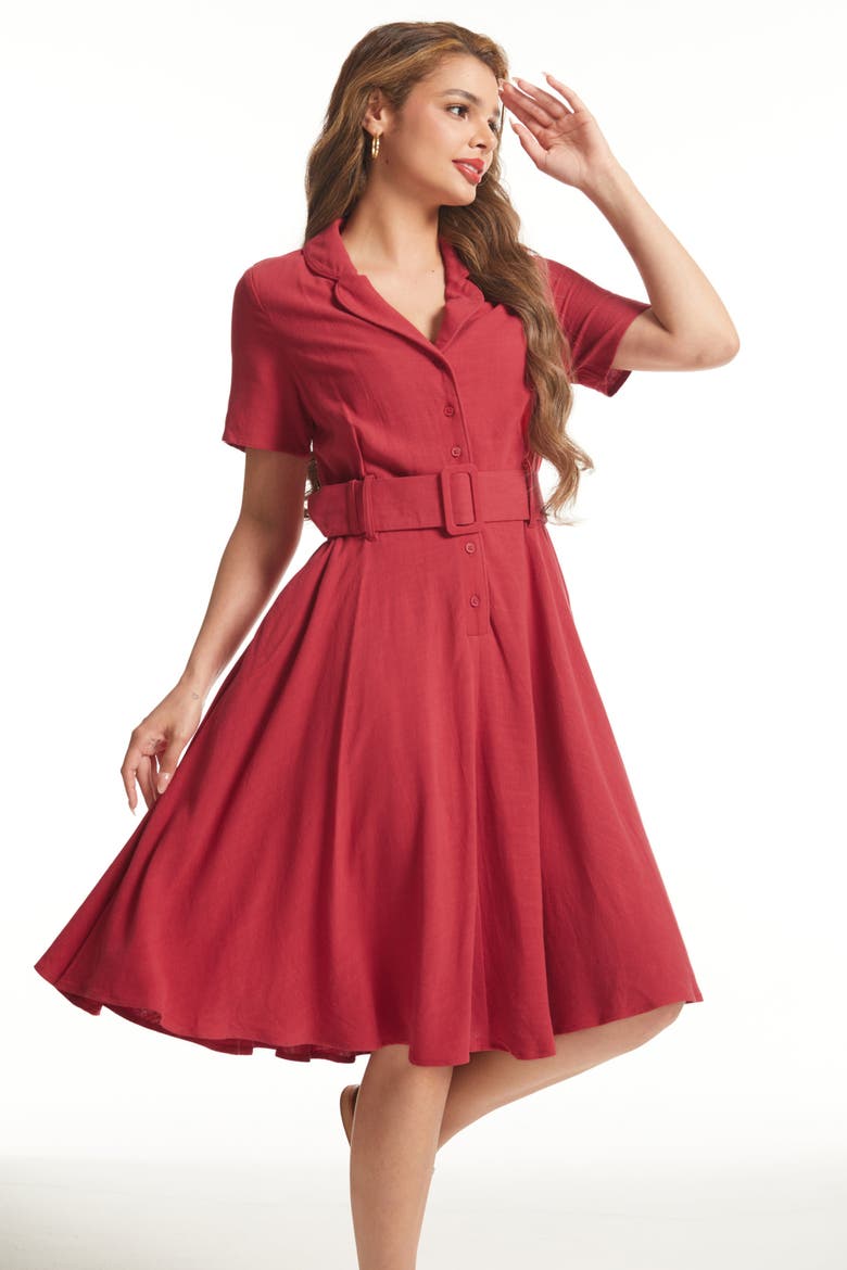 Rustic Elegance Fit & Flare Shirt Dress