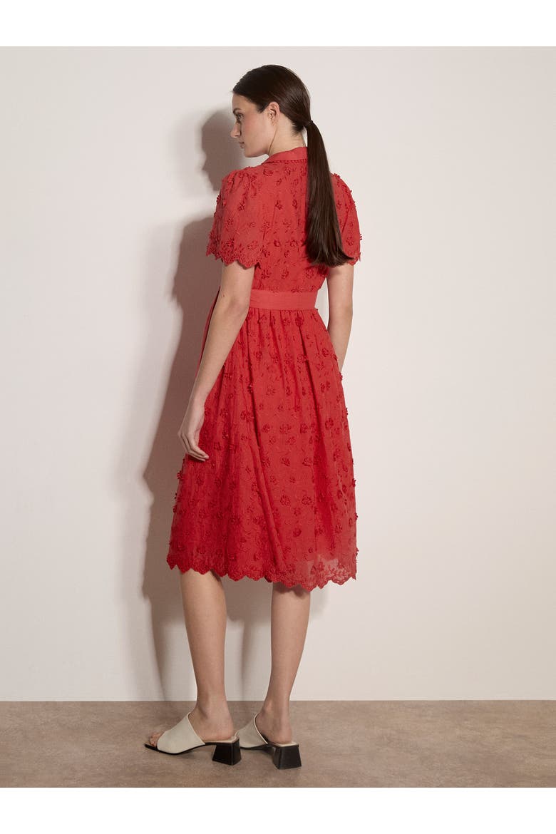 3d Embroidered Cotton Midi Dress