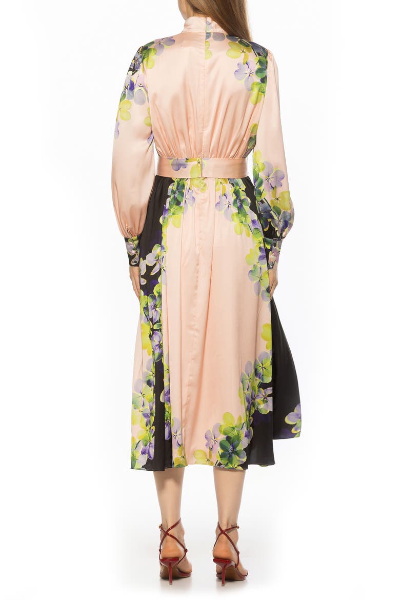Safiya Long Sleeve Belted Fit & Flare Dress