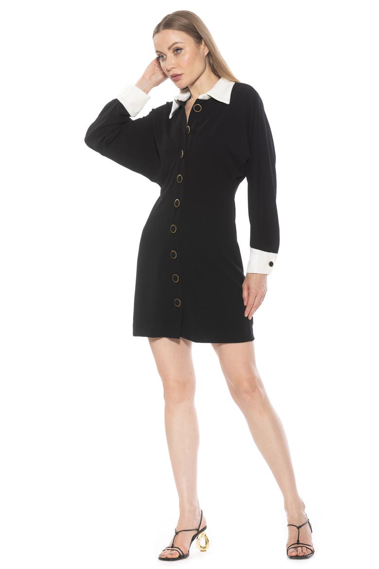 Velvette Long Sleeve Shirtdress