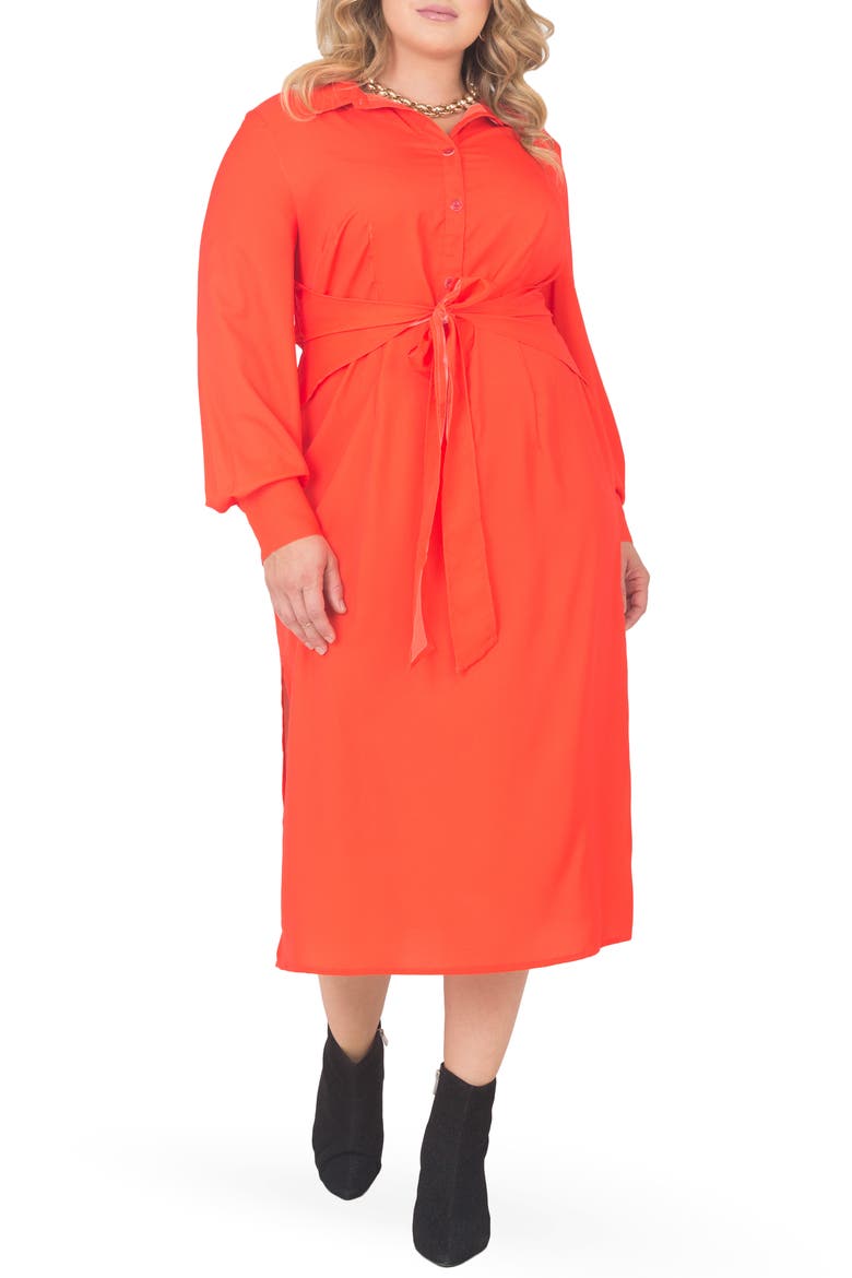 Tie Waist Long Sleeve Midi Dress
