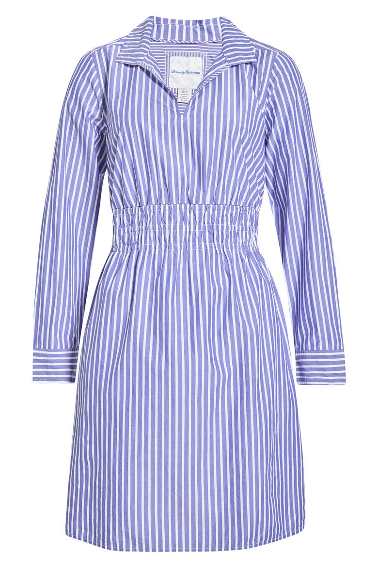 Sunlit Stripe Long Sleeve Shirtdress