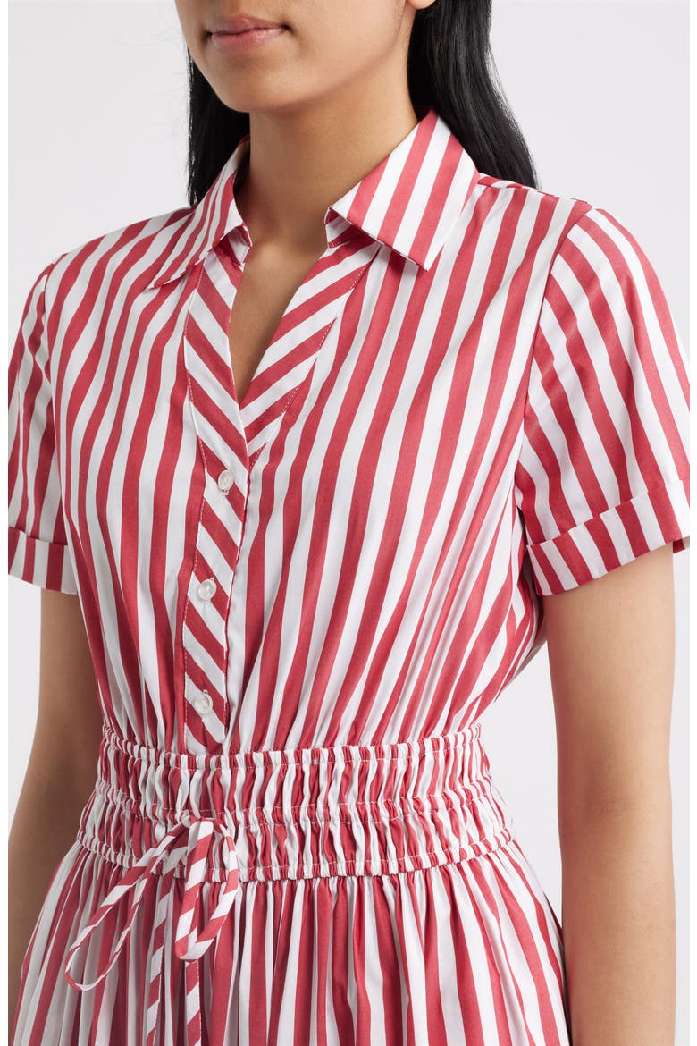 Stripe Cotton Blend Shirtdress