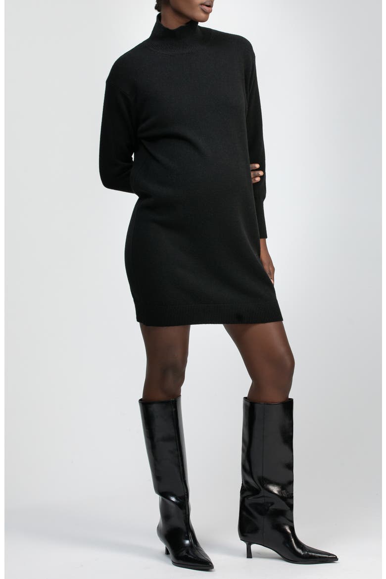 Felicia Turtleneck Long Sleeve Sweater Dress