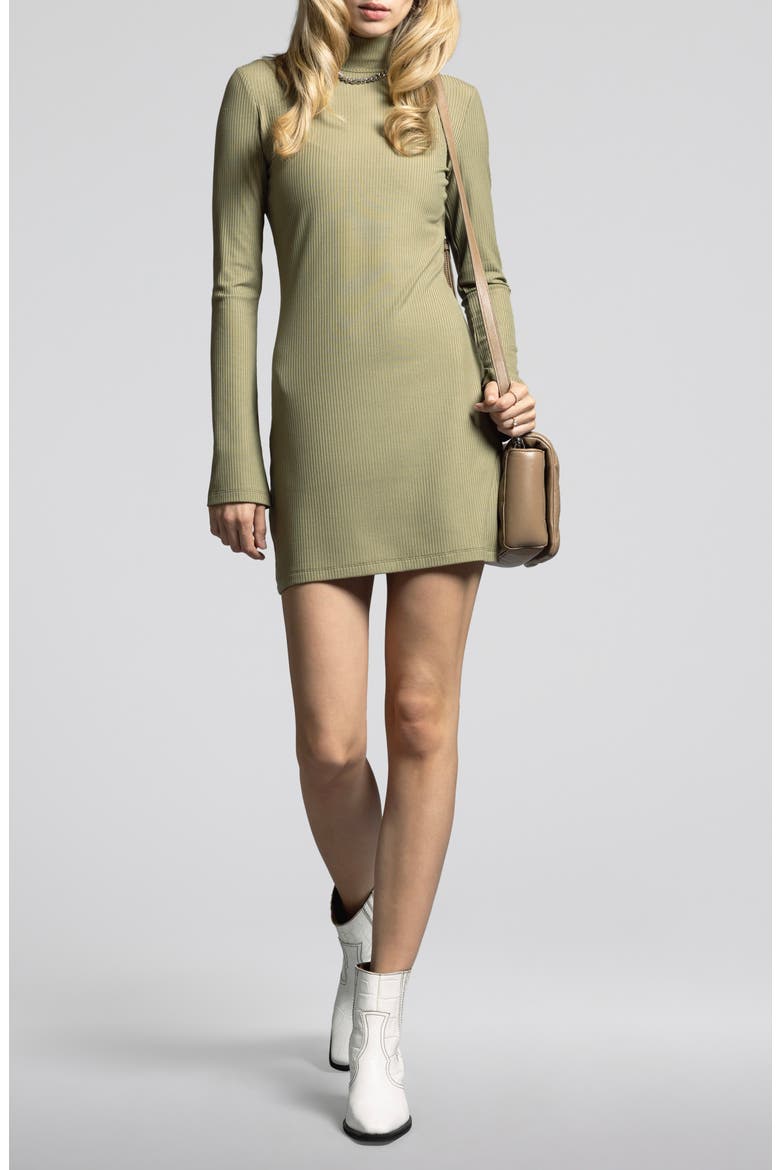 Penelope Turtleneck Long Sleeve Rib Minidress