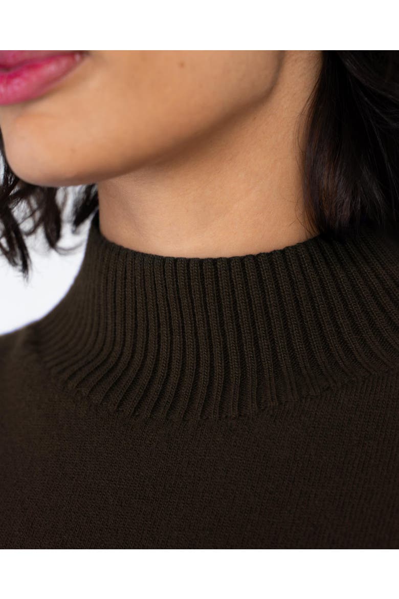 Turtle Neck Knitted Dress