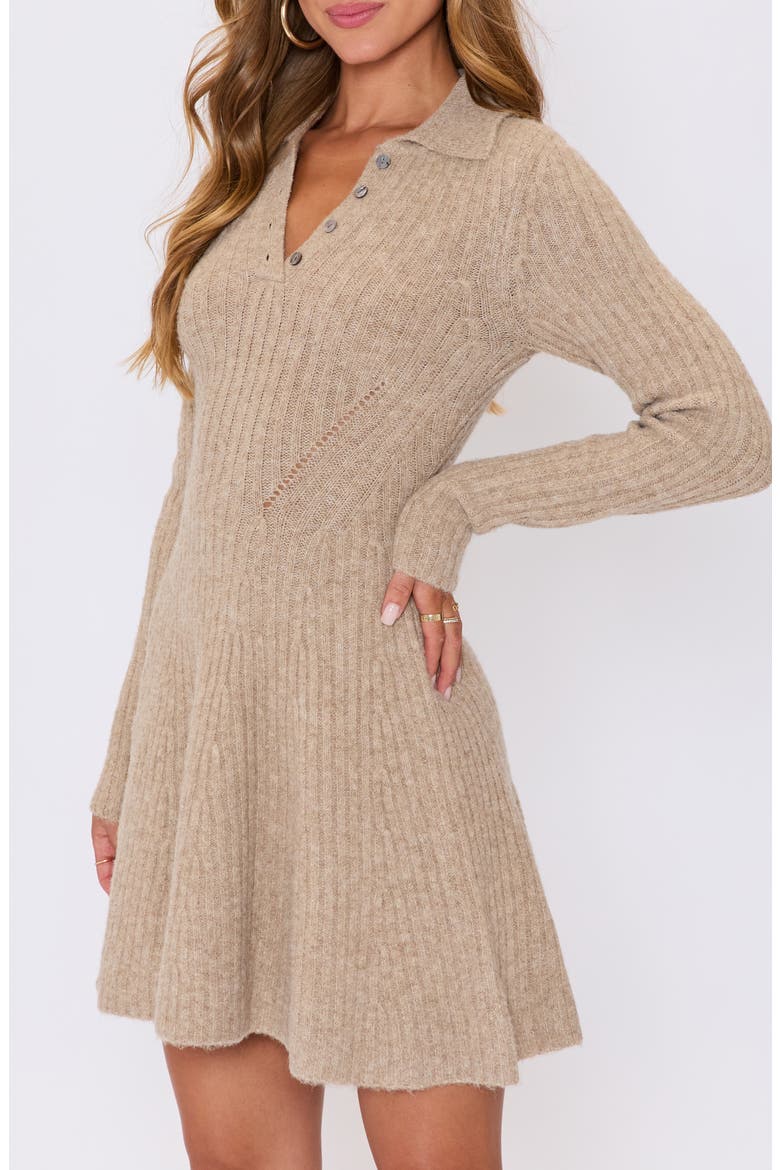 Ember Long Sleeve Fit & Flare Sweater Minidress