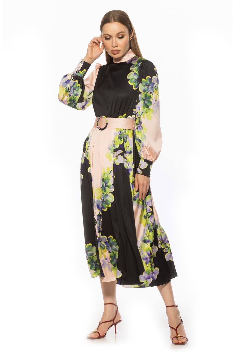 Safiya Long Sleeve Belted Fit & Flare Dress